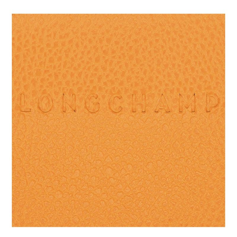 Apricot Orange Men's Longchamp Le Foulonné Cardholders | 6537-YMUEG