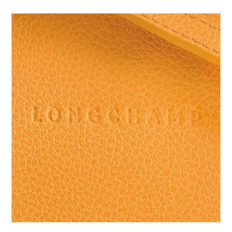 Apricot Orange Women's Longchamp Le Foulonné S Crossbody Bags | 6425-YTFWK