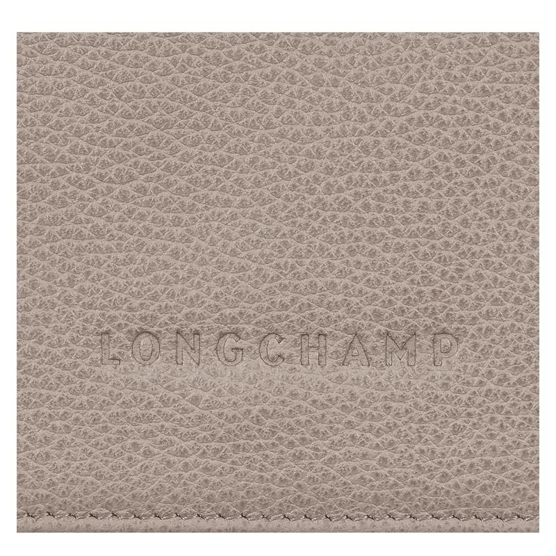 Turtledove Grey Men's Longchamp Le Foulonné Wallets | 5264-XPALK