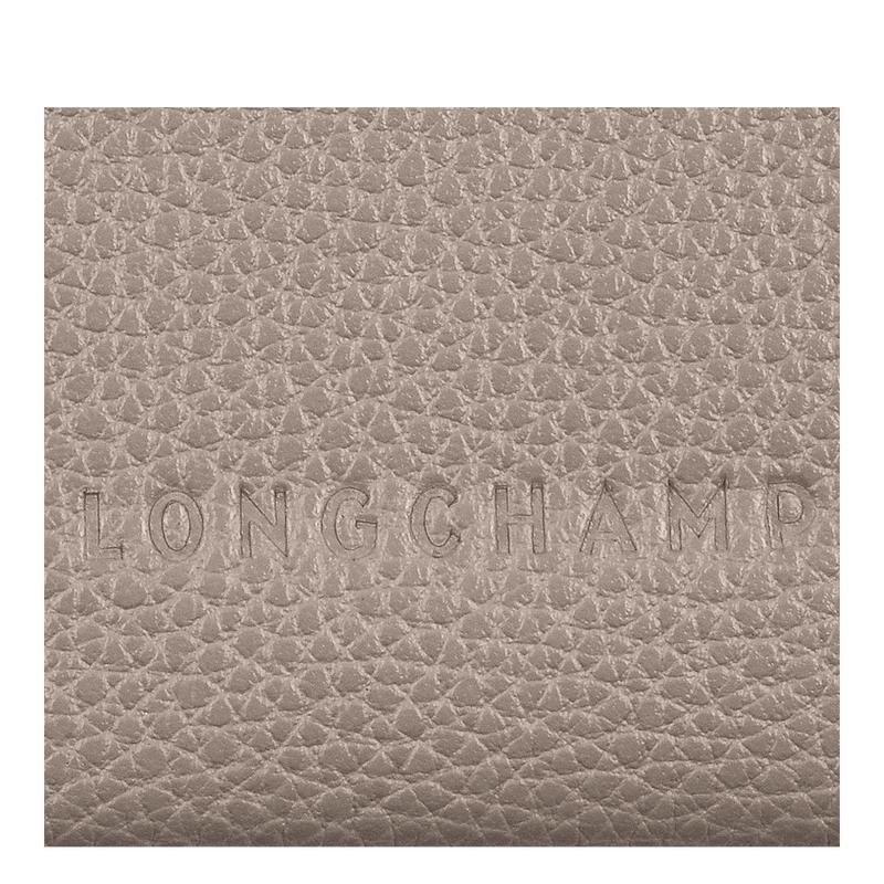 Turtledove Grey Men's Longchamp Le Foulonné Cardholders | 8041-BJZNS